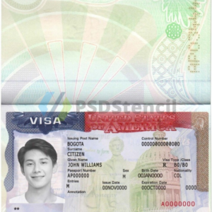 US tourist visa PSD template